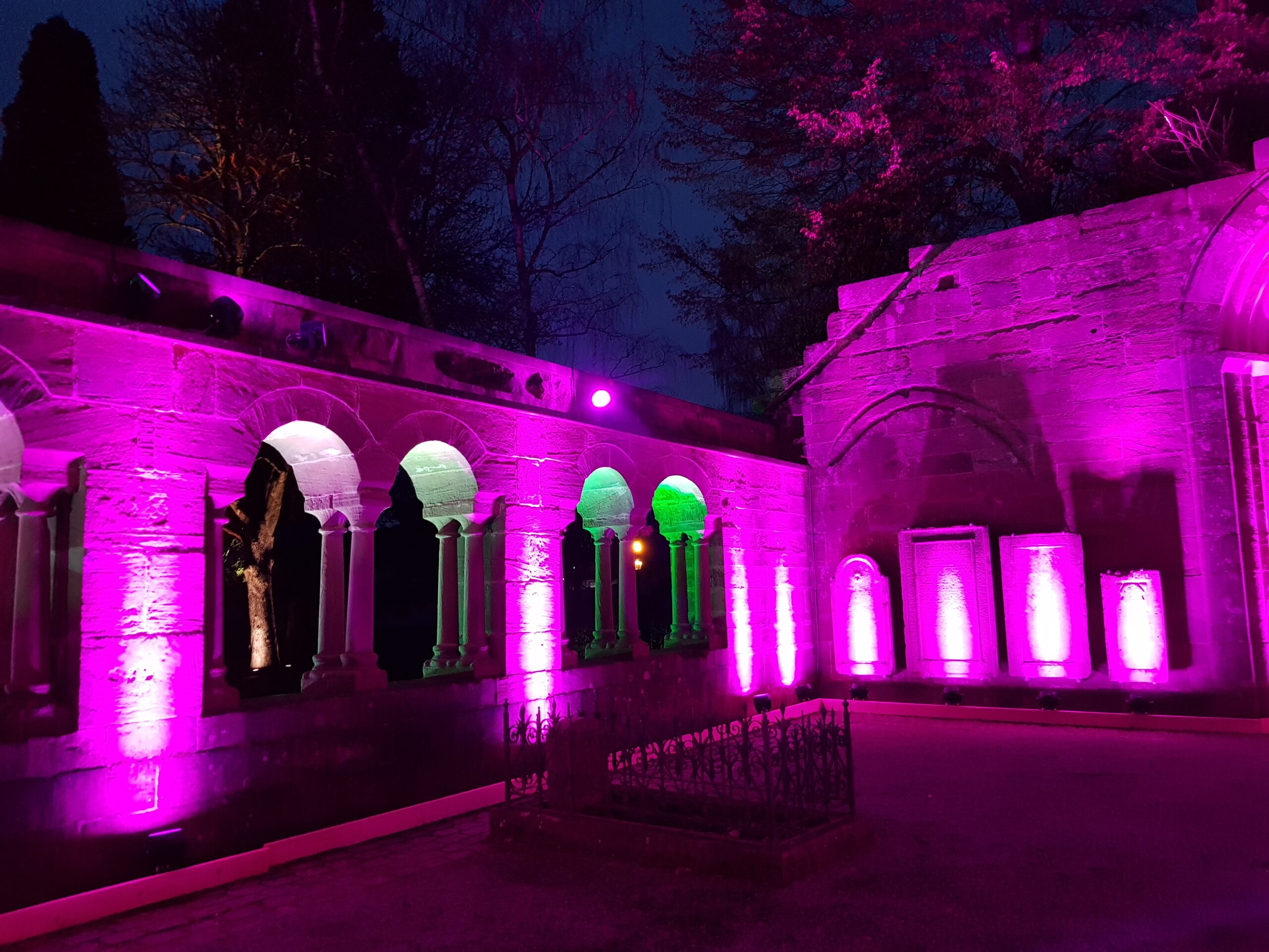 Wunderschönes, außergewöhnliches Farbspiel. Die Klosterruine in Bad Herrenalb in rosa.  Foto: Tanja Meckler