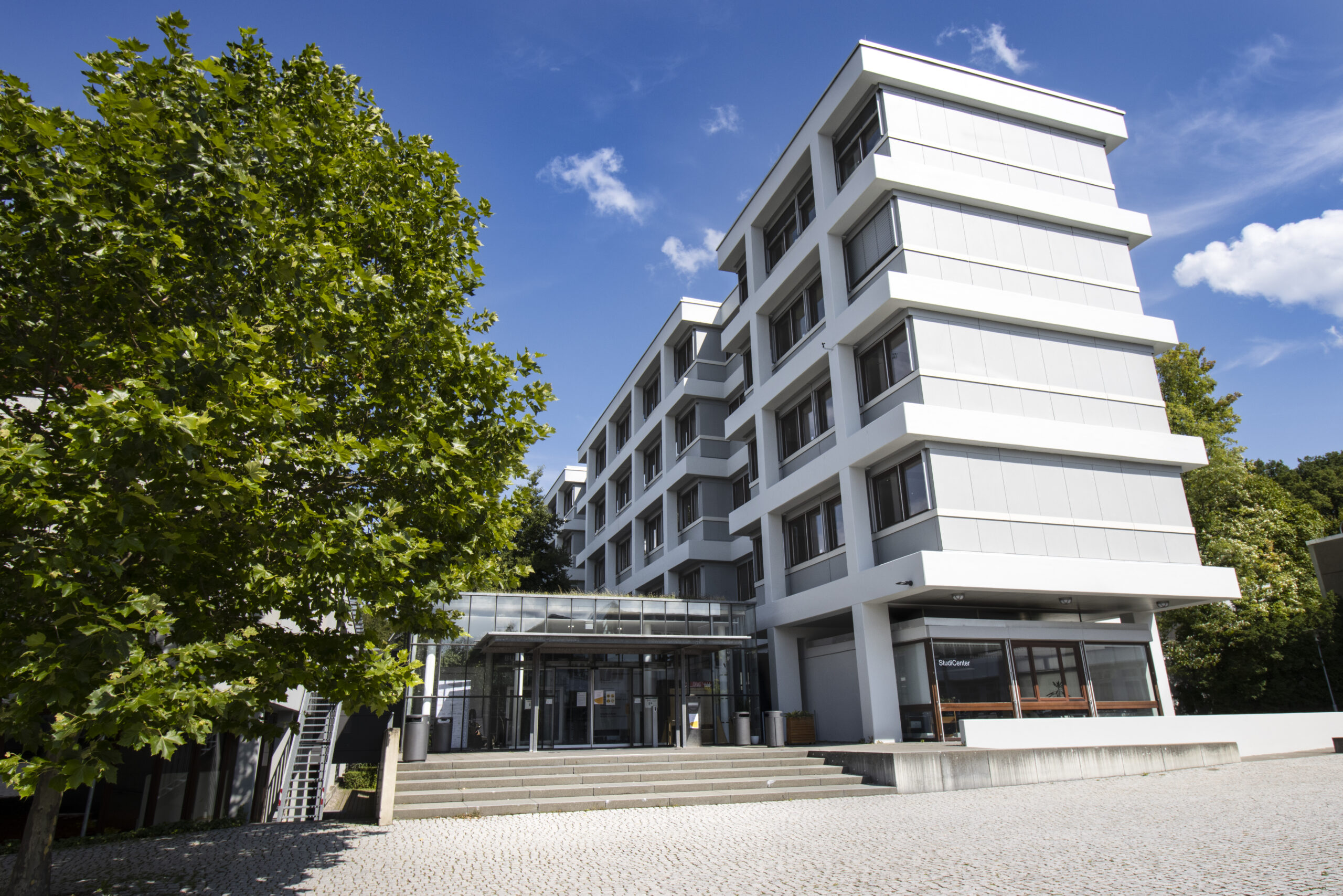 Vier Köpfe, vier Perspektiven: Wie die Business School Pforzheim ihr Profil schärft